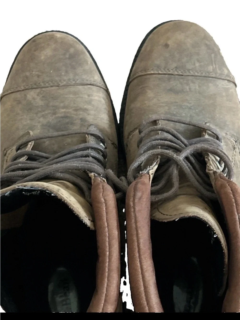 L.L. Bean ll bean